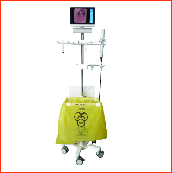 Endoscope assist cart
